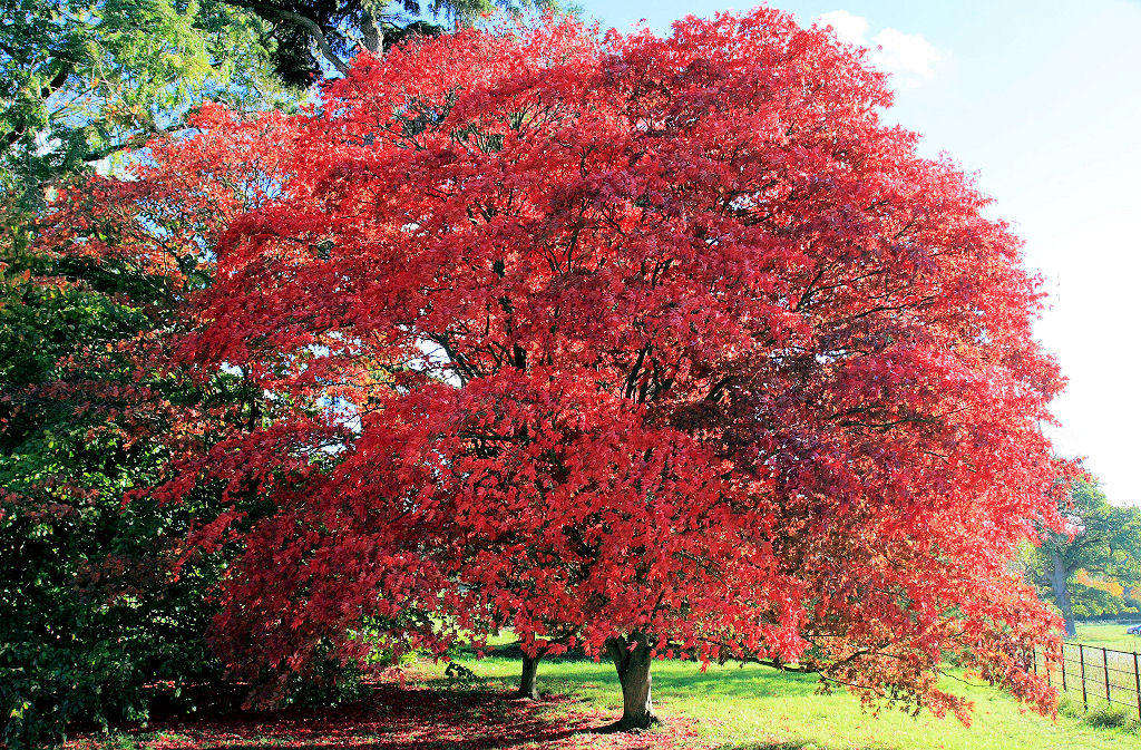 17mm 1/160sec f6.3 -1 stop (ISO 200)